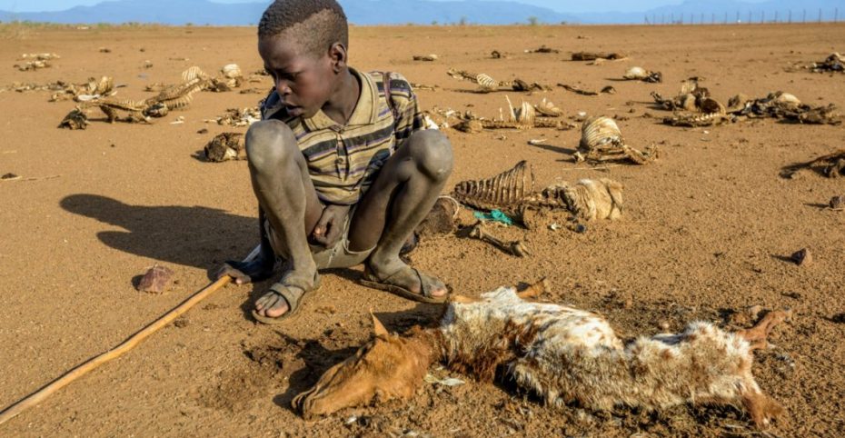 9-year-old Ejiem sits with the carcass of his favorite sheep, Merireng, in Turkana, Kenya. The East Africa drought has caused the death of many animals like Merireng. (©2017 World Vision/photo by Jon Warren)