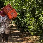 Geert van Kesteren/Magnum Photos