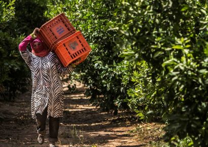 Geert van Kesteren/Magnum Photos
