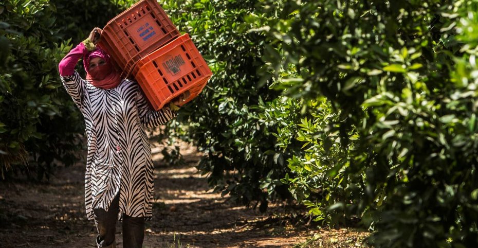 Geert van Kesteren/Magnum Photos