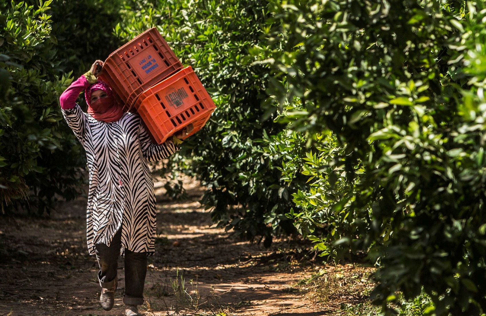 Geert van Kesteren/Magnum Photos